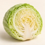 Cabbage