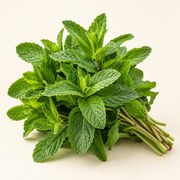 Fresh mint