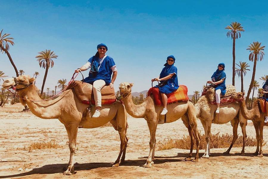 Marrakech Palmeraie Camel Ride