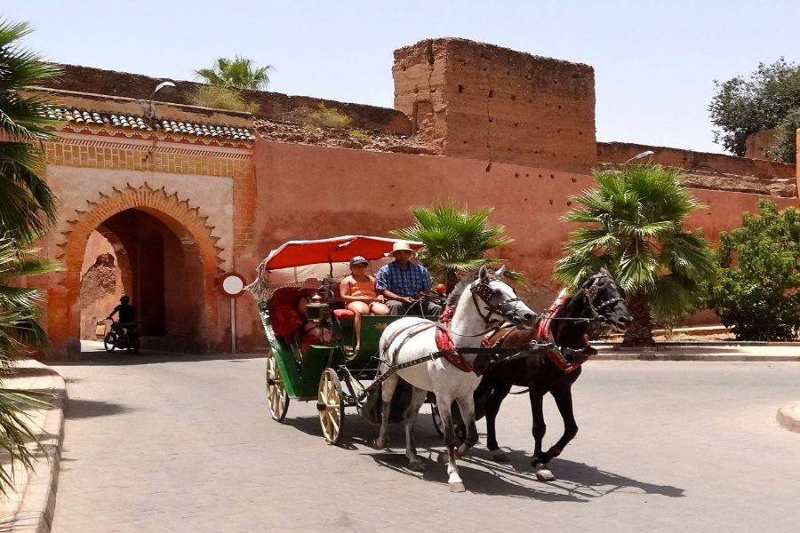 Marrakech Horse-Drawn Carriage Ride