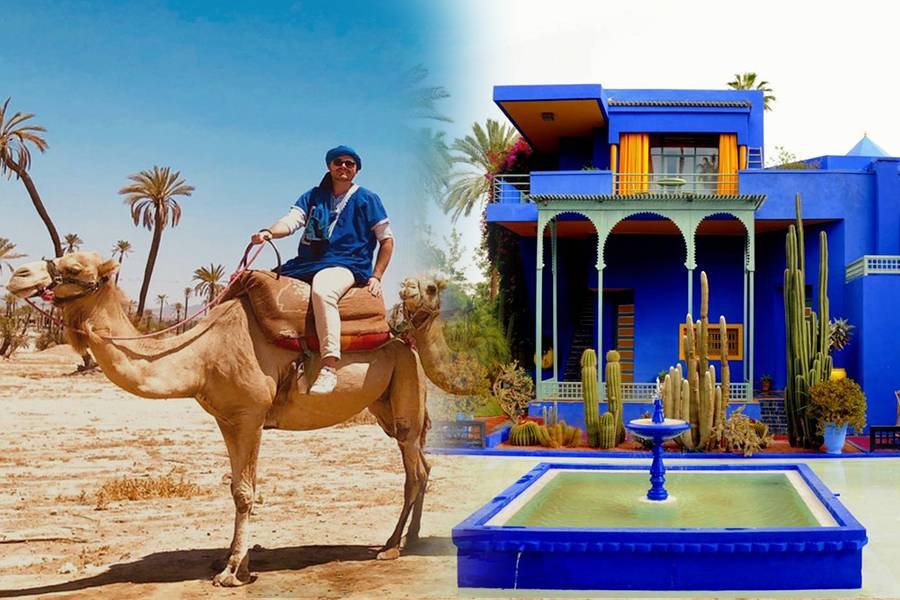 Majorelle Garden and Palmeraie Camel Ride