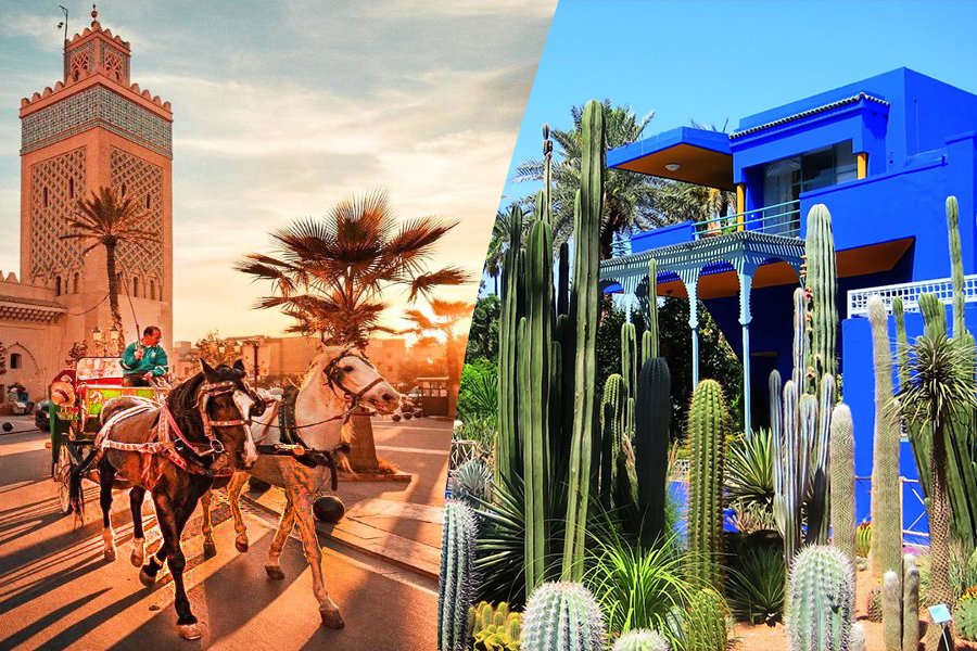 Marrakech Carriage Ride and Majorelle Garden