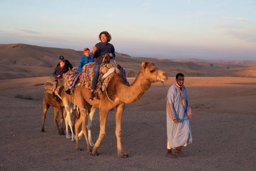 Agafay Sunset Camel Ride