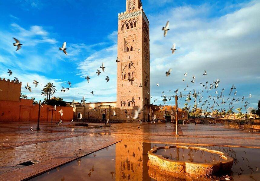 Marrakech Historic Gardens and City Walls Tour