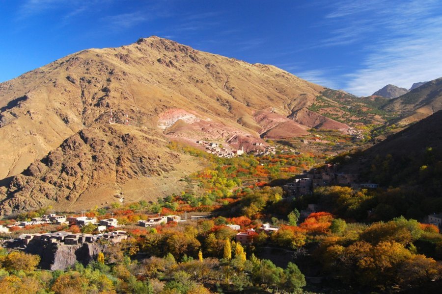 Atlas Mountains and Agafay Sunset Camel Trek
