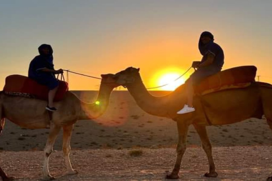 Imlil, Camel Ride and Dinner in Agafay