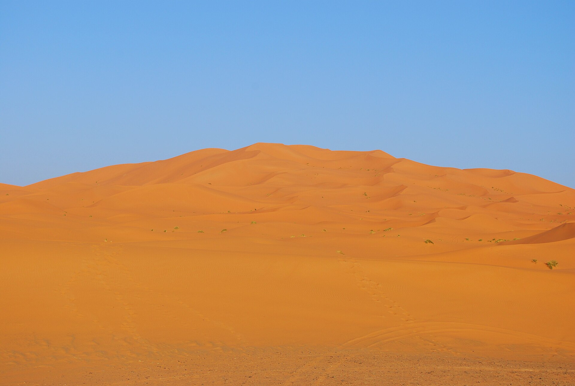 Merzouga: Erg Chebbi sunrise dune walk