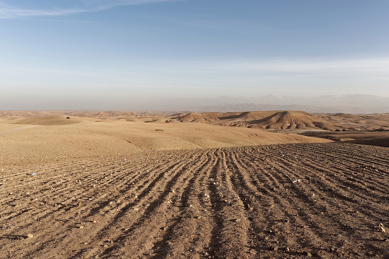 Agafay: two days of desert and local life