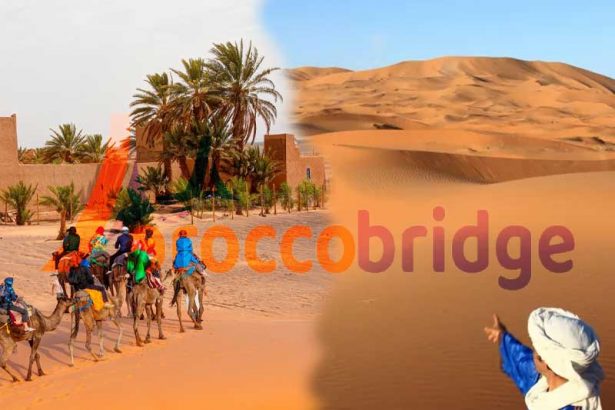 Merzouga vs M’Hamid