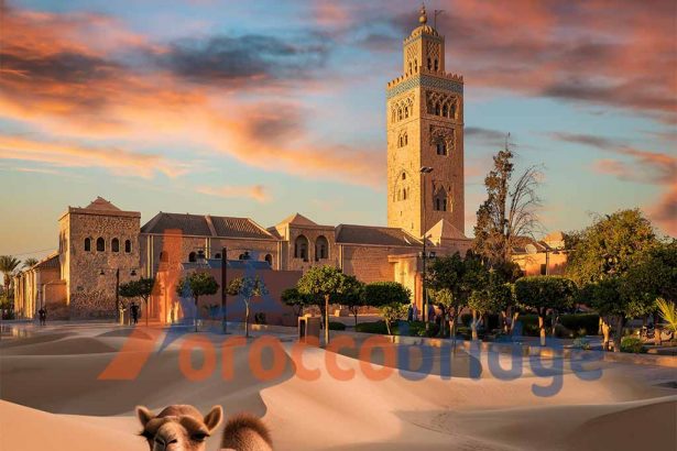 How Do I Get from Marrakech to the Sahara Desert?