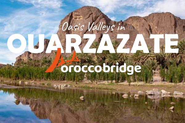 Best Day Trips from Ouarzazate: Oasis Valleys, Gorges & Hidden Gems 🌿🏜️