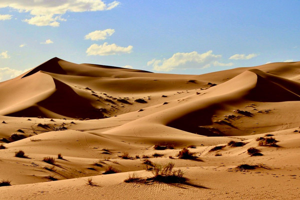 Merzouga Trips Moroccobridge