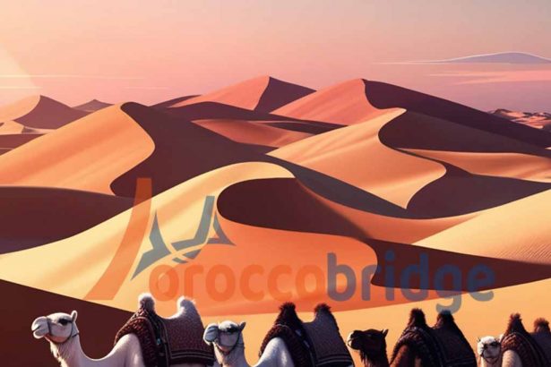 What Is the Best Desert Tour in Morocco?
